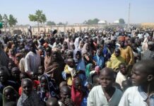 120 million people displaced by war, violence globally, UN Says