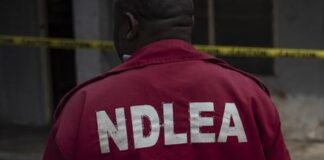 NDLEA secures conviction of 22 drug dealers in Kano in July