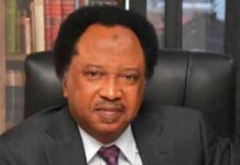Sen Shehu Sani condemns opposition lawmakers for quietness in NASS