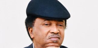 Shehu Sani insists some ENDSARS protesters still in police detention
