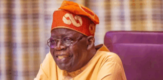 Tinubu appoints Argungu as chairman PSC, Nnamani as secretary