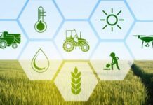 YoLa fresh raises $7m funding to address supply chain challenges