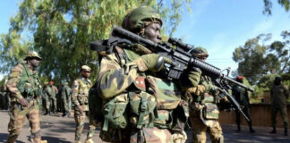 Multinational troops rescue 40 hostages in Borno