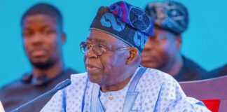 Nigerians in Diaspora remitted $646m in five months —Tinubu
