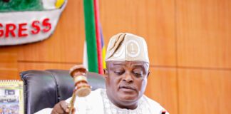 Championing the People’s Voice: Obasa’s Dedication to Grassroots Representation