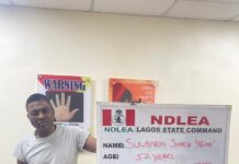 After years of evading arrest, NDLEA nabs most wanted Lagos drug baron, Temo