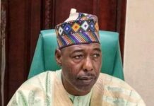 FACT CHECK: How true is Gov Zulum’s claim that 95% of Borno #EndBadGovernance protesters are under 14yrs?