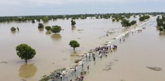 Nigeria issues flood alert as Cameroon releases water from Lagdo Dam
