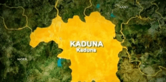 11 dead, four injured in Kaduna auto crash