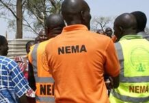 149 Nigerians repatriated from Niger Republic, 2 sustain injuries