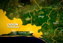 12 burnt to death, four injured in Ogun auto crash