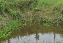 INVESTIGATION: After an oil spill, Eni claimed it never happened (Part II)