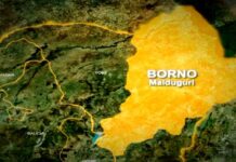 Four die in Borno canoe accident