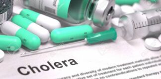 Four die in Adamawa cholera outbreak