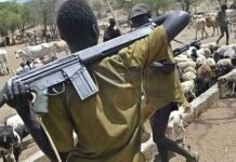 Suspected herdsmen kill 7 in Benue community