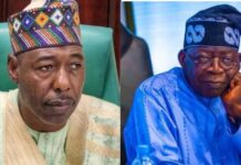 FLOODS: SERAP urges Tinubu to probe spending of ecological funds by Borno govt