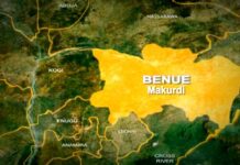 Benue govt alerts of snake infestation in IDP camps