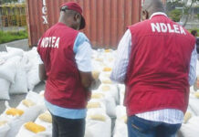 Ex-convict arrested in attempt to import N4.6bn cocaine