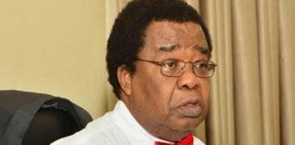 Ex-foreign affairs minister, Akinyemi warns on China loans as Nigeria’s debt rises