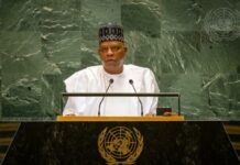 UNGA 2024: Tinubu begs for debt forgiveness for developing nations