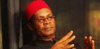 APC chieftain , Joe Igbokwe, laments hike in electricity tariff