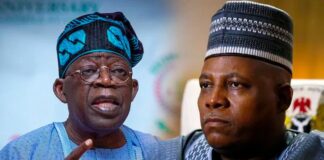 Tinubu, Shettima’s absence won’t create vacuum in government – Presidency