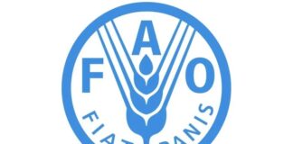 2.8bn people can’t afford healthy diets globally – FAO