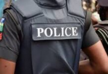 Mentally ill man arrested for burning grandma to death