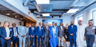 Nigeria woos Swedish investors as VP Shettima touts economic reforms
