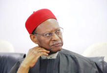 Emeka Anyaoku: Leadership Alone Can’t Fix Nigeria Without Constitutional Reform