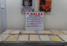 N4.4billion worth cocaine seized at Lagos airport as NDLEA grills 30 suspects