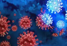 Breaking: Hospitals on High Alert as Nigerian Government Tracks New XEC COVID-19 Variant