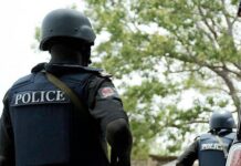 Police detain man for allegedly raping 5-yr-old girl in Gombe