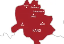 Kano govt shuts market over alleged prostitution, other immoral activities
