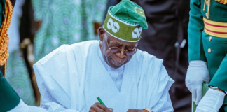 Don extols Tinubu’s SEDC board appointment