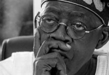 2027: We’ll vote Tinubu out if…, Kano NNPP chairman warns