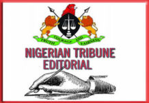 The Christmas stampedes – Tribune Online