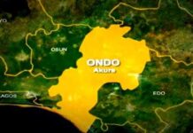 13 dead, one injured in Ondo road accident
