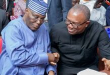 Peter Obi on 2027: ‘I’m Committed to Fighting Bad Governance’, Comments on Atiku Alliance