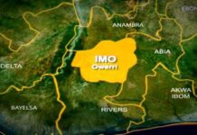 Imo State Closes Schools Amid Diphtheria Outbreak That Kills Scores of Children