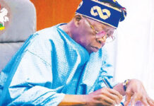 Tinubu Announces Fresh Appointments to University Governing Councils