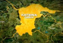 More than half of Katsina LGAs under bandits influence – Stakeholders call for new strategies