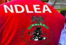NDLEA arrests drug kingpin, 5 others over three Nigerians detained in Saudi Arabia
