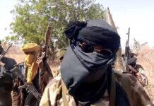 Zamfara Monarch Regains Freedom from Bandits