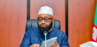 Niger Bans Tree Cutting, Creates Agency For Green Initiative