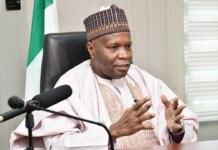 Gombe state govt creates 13 new LCDAs