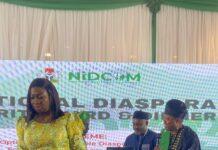 NIDOE Diaspora Day celebration: Good intentions and undiplomatic fallouts