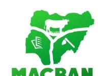 MACBAN claims gunmen killed herder, 25 cows in Plateau attack