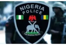 Zamfara Police Neutralize Eight Bandits in Fierce Clash
