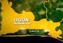 Ogun State begins initiative to revive endangered medicinal plants